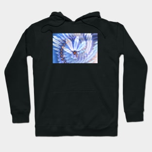 Blue Hornet / Swiss Artwork Photography Hoodie